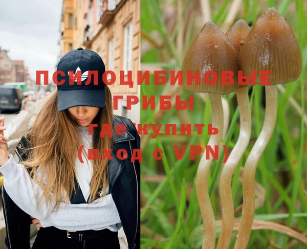 бутират Няндома