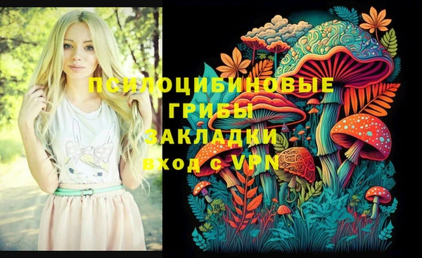 бутират Няндома