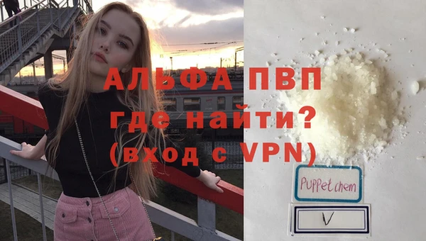 PSILOCYBIN Осинники