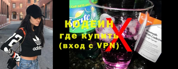 дурь Осташков