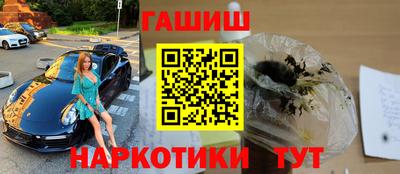 гидра Гатчина