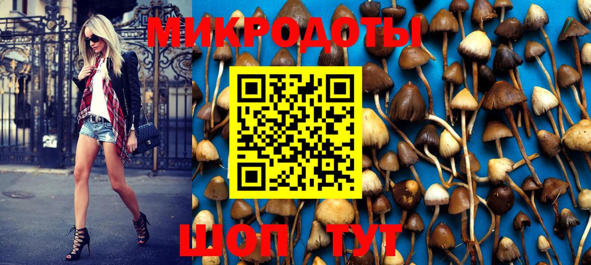 Галлюциногенные грибы Magic Shrooms Сертолово